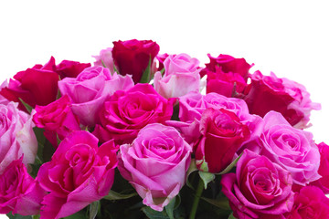 bouquet of fresh pink and magenta fresh roses border isolated on white background