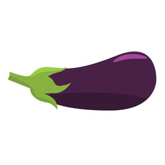 Eggplant icon with flat color style design. Illustrated vector for organic food concept