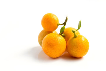 Orange Kumquat placed on white background