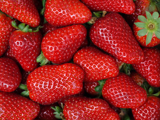Erdbeeren