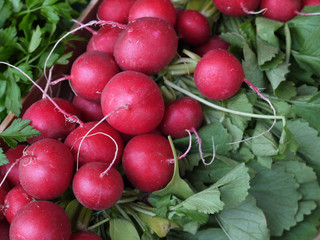 Radieschen.