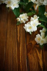 Obraz na płótnie Canvas White flowers of jasmine