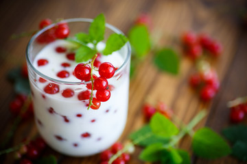 sweet homemade yogurt with red currants