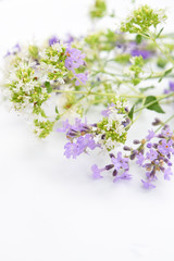 lavender and oregano