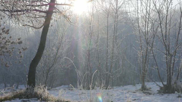 Park hill Kraljevica covered with first snow 4K 2160p UHD footage - Hills and forest near town of Zajecar covered with snow 4K 3840X2160 UHD video 