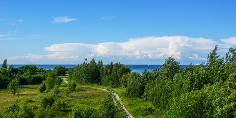 Fototapeta na wymiar Estonia summer landscape,district paljassaare