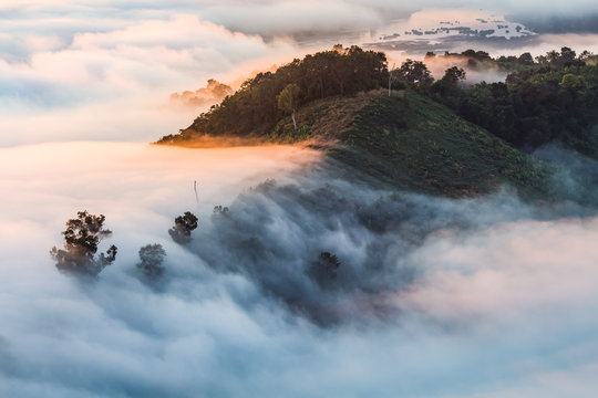 The beauty of the morning fog on the mountain.
