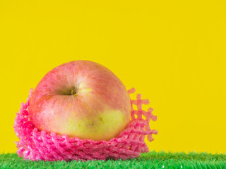 Apple with vivid pink mesh fruit sleeve and yellow background