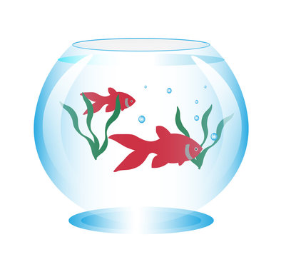 1 068 Best 金魚鉢 Images Stock Photos Vectors Adobe Stock