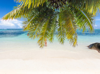 Obraz na płótnie Canvas plage d'Anse Source d'Argent sous les cocotiers, la Digue, les Seychelles 