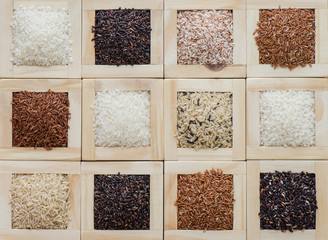 Various rice collection for background