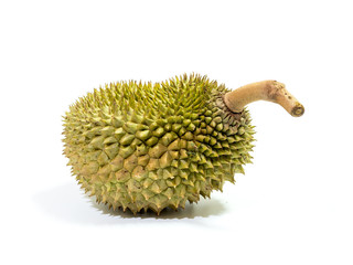 King of fruits, durian fruit with shell on white background.