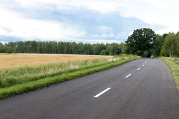 Droga między polami