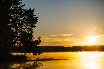 Obraz premium River in the morning with a mist