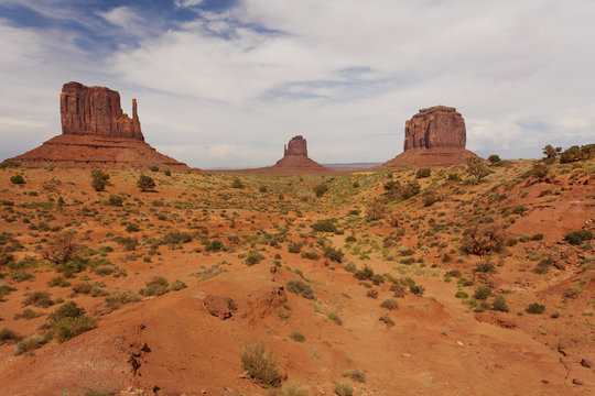 Classic view from dirt road of the West and East Mitten Buttes and Merrick's Butte on the right 