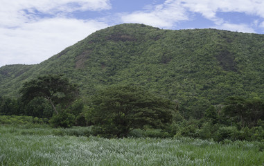 Obraz premium view of green field , tree and green mountain with blue sky and cloud,selective focus,natural color picture style