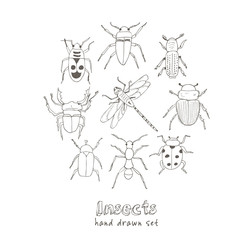 Set of doodle sketch Bugs and beetles