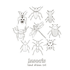 Obraz premium Set of doodle sketch Bugs and beetles