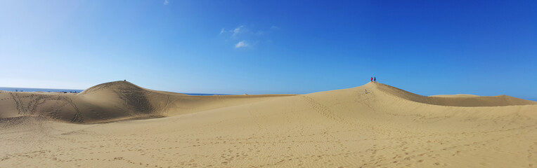 Fototapeta na wymiar Sandy dunes in famous natural Maspalomas beach. Gran Canaria. Sp