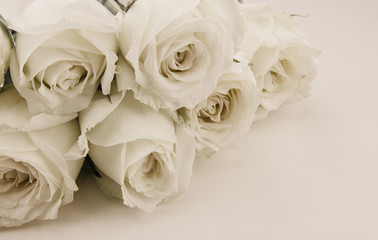 Rose Vintage Flowers