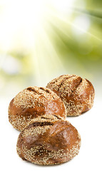 isolated image of round bread close-up