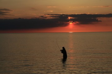 Watangler auf Fehmarn 