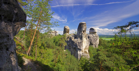 View of sandstone rockies and wood in cesky raj, bohemia