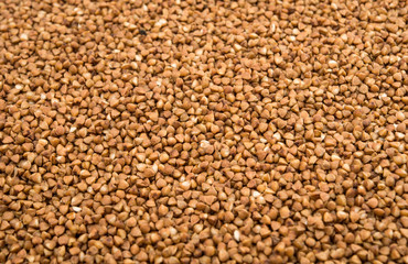 photographed close-up ripe kernel of buckwheat