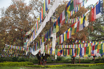 Buddhist praying flags in Lumbibi, Nepal