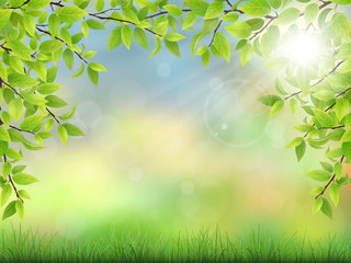 Obraz premium Summer background with green leaves and grass. The sun's rays shine through the branches of trees. Realistic detailed vector illustration.