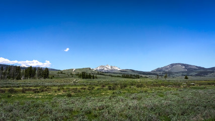 Yellowstone National Park Landscape