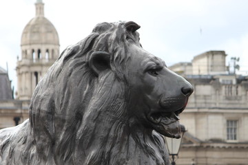 One of the bronze Barbary lions at the base of the Nelson's column in London