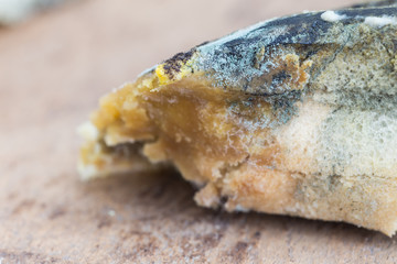 Mouldy bread on cutting board