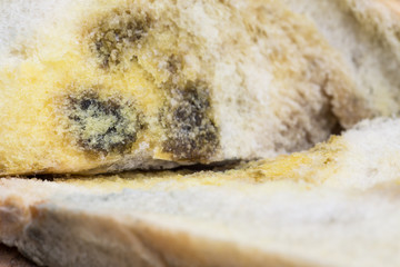 Mouldy bread on cutting board