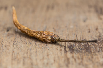 Closeup of the dried chili on the wood