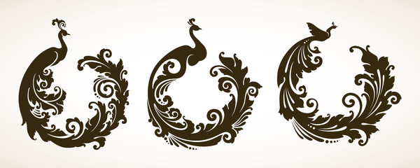 Vector set ornamental frames with decorative birds