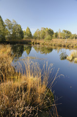 Hochmoor Kendlmühlfilz