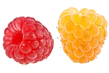 Ripe raspberries isolated on white background