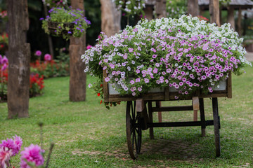 Fototapeta na wymiar Flowers on the wagon