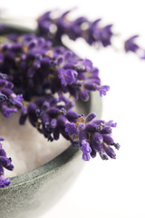 lavender spa