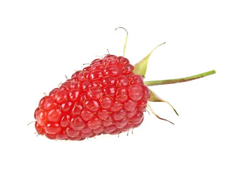 Ripe raspberry isolated on white background