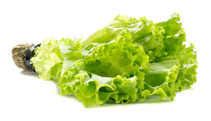 Lettuce leaf