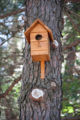 wooden birdhouse on a tree in the forest and park