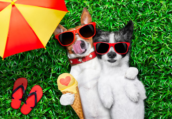 couple in love under umbrella