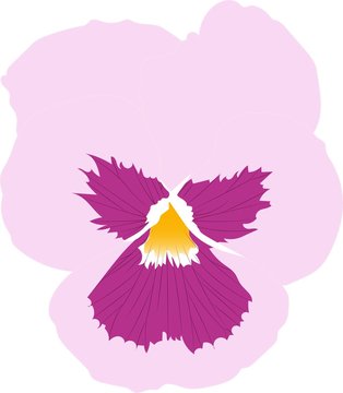 Viooltje Roze