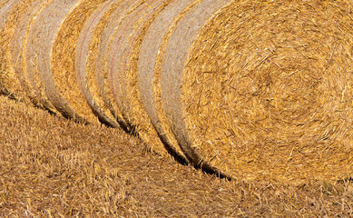 Meule de foin, paille