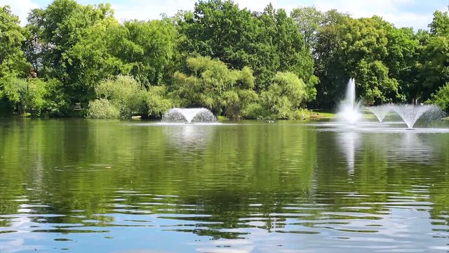 Fountains in the pond with green trees. Summer park outdoors.