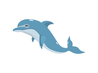 vector drawing of a dolphin on a white background