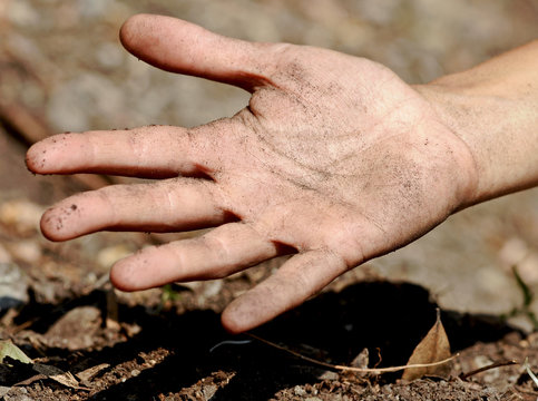 Il palmo di una mano sporca di terra