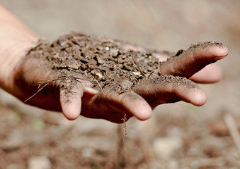 Raw soil nutrient on the hand